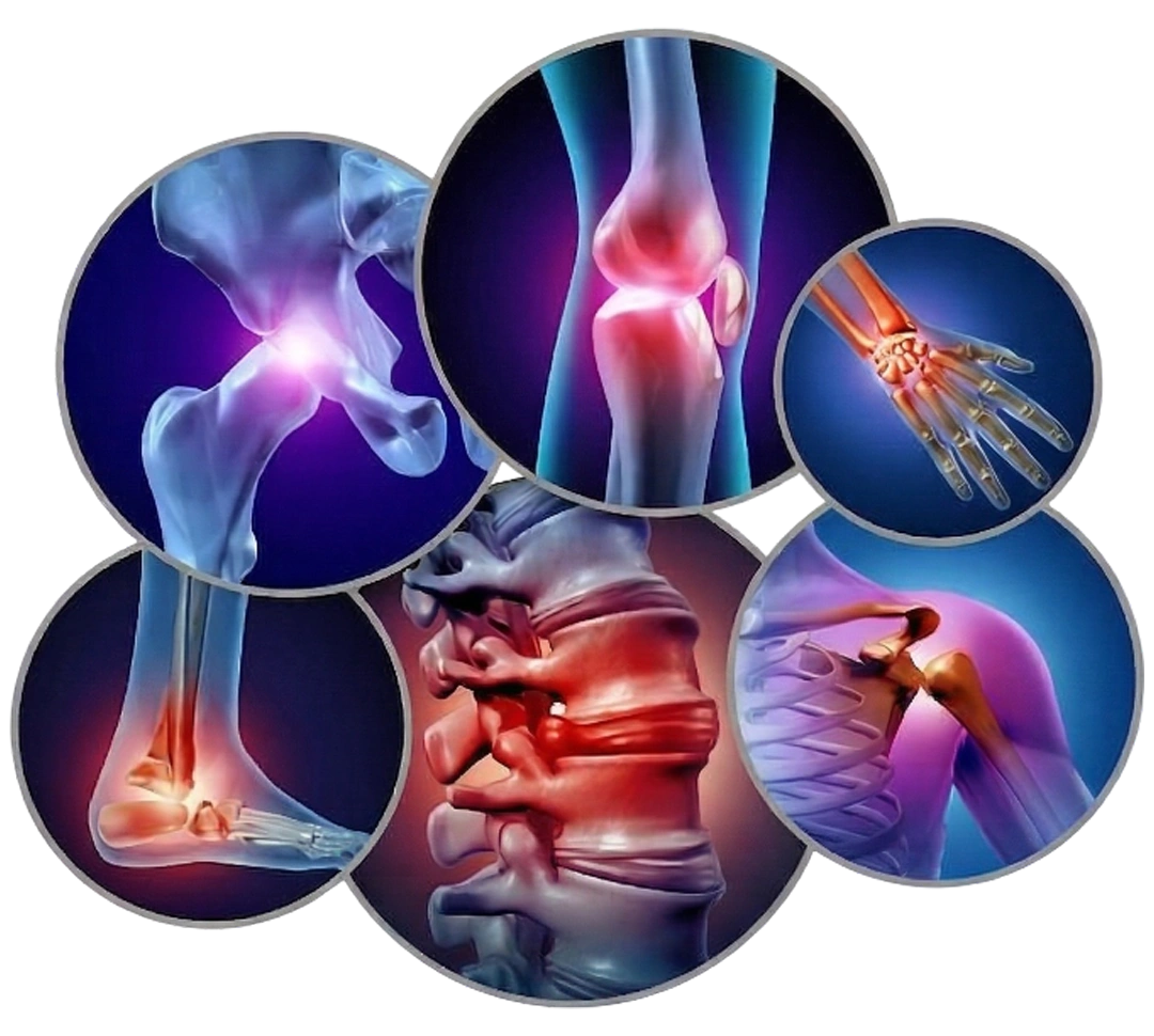 Expert Orthopaedic Surgeon